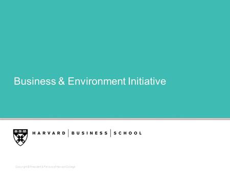 Copyright © President & Fellows of Harvard College Business & Environment Initiative.