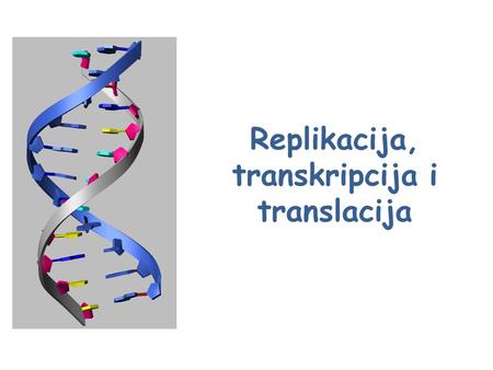 Replikacija, transkripcija i translacija