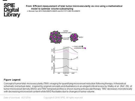 Date of download: 6/27/2016 Copyright © 2016 SPIE. All rights reserved. Concept of tumor total microvascularity (TMV) imaging for quantifying microvessel.