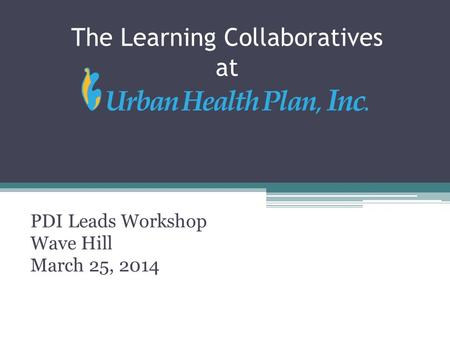 The Learning Collaboratives at PDI Leads Workshop Wave Hill March 25, 2014.