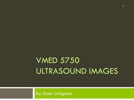 VMED 5750 ULTRASOUND IMAGES By: Kate Livingston 1.