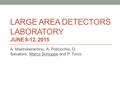 LARGE AREA DETECTORS LABORATORY JUNE 8-12, 2015 A. Mastroberardino, A. Policicchio, D. Salvatore, Marco Schioppa and P. Turco.