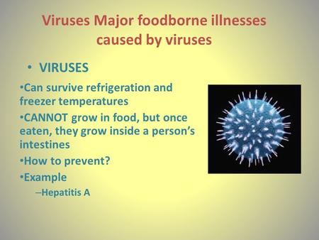 Viruses Major foodborne illnesses caused by viruses VIRUSES Can survive refrigeration and freezer temperatures CANNOT grow in food, but once eaten, they.