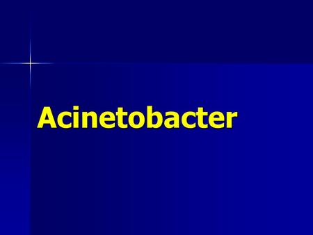 Acinetobacter Before we begin the investigation, we must prepare for field work. The preparation requires that we learn about the organism involved in.