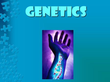 Genetics. vocabulary terms INHERITANCE or HEREDITY- The genetic transmission of characteristics from parent to offspring, such as hair, eye, and skin.