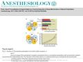 Date of download: 6/28/2016 Copyright © 2016 American Society of Anesthesiologists. All rights reserved. Fig. 2. Studies of 17β-estradiol potentiation.