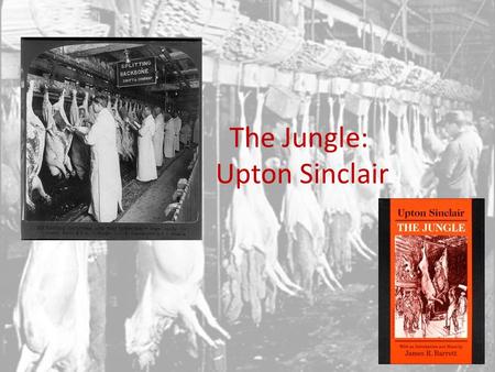 The Jungle: Upton Sinclair. The Muckrakers The tradition of investigative journalism developed at the beginning of the 20 th century. “Muckrakers” used.