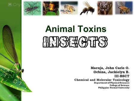 INSECTS Animal Toxins Macuja, John Carlo O. Ocbina, Jackielyn B.