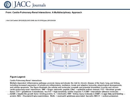 Date of download: 6/28/2016 Copyright © The American College of Cardiology. All rights reserved. From: Cardio-Pulmonary-Renal Interactions: A Multidisciplinary.