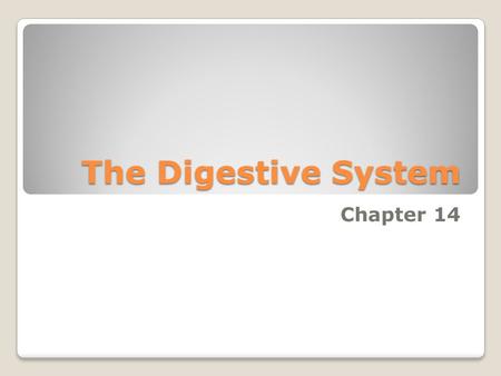 The Digestive System Chapter 14. 1. Digestion- Breakdown of ingested food 2. Absorption- Passage of nutrients into the blood 3. Metabolism- Production.