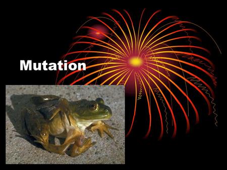 Mutation. What you need to know How alteration of chromosome number or structurally altered chromosomes can cause genetic disorders How point mutations.