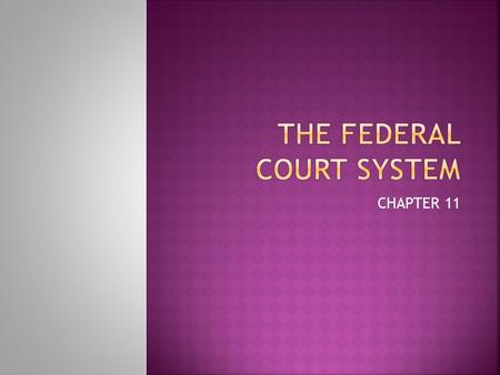 CHAPTER 11.  U.S. Judiciary consist of federal/ state courts.