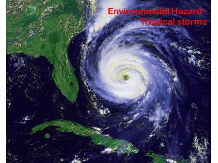 Environmental Hazard : Tropical storms. I see……… I think……. I wonder…