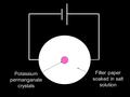 Potassium permanganate crystals Filter paper soaked in salt solution.