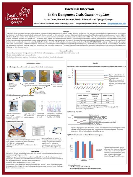 Bacterial Infection in the Dungeness Crab, Cancer magister Sarah Dunn, Hannah Pramuk, David Scholnick and Györgyi Nyerges Pacific University, Department.