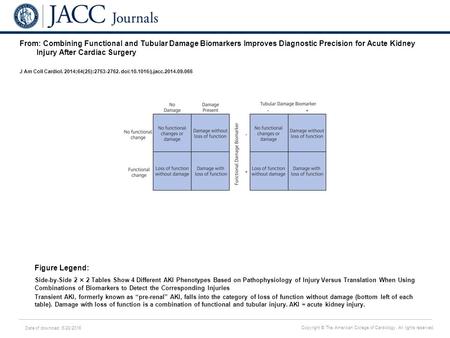 Date of download: 6/28/2016 Copyright © The American College of Cardiology. All rights reserved. From: Combining Functional and Tubular Damage Biomarkers.