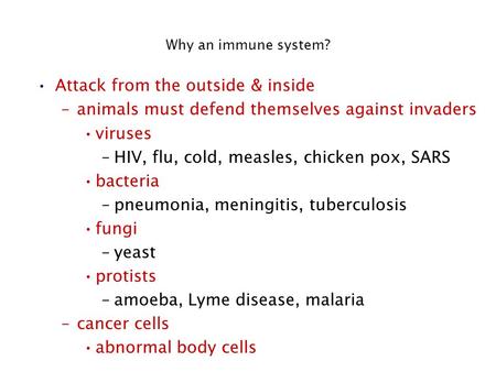 Why an immune system? Attack from the outside & inside –animals must defend themselves against invaders viruses –HIV, flu, cold, measles, chicken pox,