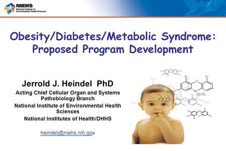 Jerrold J. Heindel PhD Acting Chief Cellular Organ and Systems Pathobiology Branch National Institute of Environmental Health Sciences National Institutes.