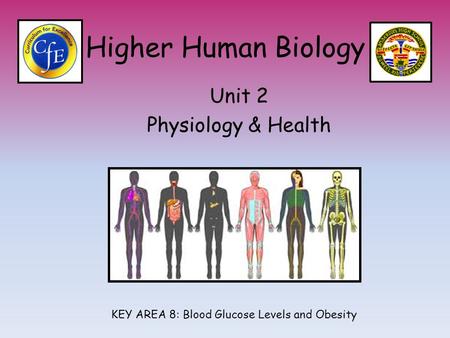 Higher Human Biology Unit 2 Physiology & Health KEY AREA 8: Blood Glucose Levels and Obesity.