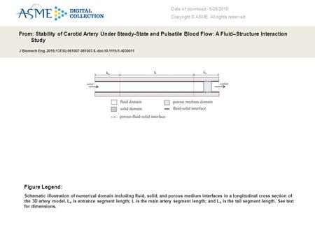 Date of download: 6/28/2016 Copyright © ASME. All rights reserved. From: Stability of Carotid Artery Under Steady-State and Pulsatile Blood Flow: A Fluid–Structure.