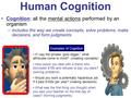 Cognition: all the mental actions performed by an organism –Includes the way we create concepts, solve problems, make decisions, and form judgments Human.