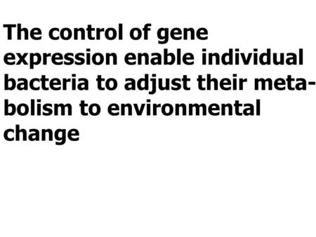 The control of gene expression enable individual bacteria to adjust their meta- bolism to environmental change.