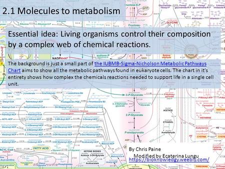 2.1 Molecules to metabolism