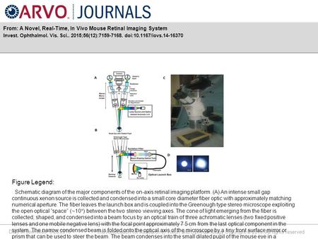 Date of download: 6/28/2016 The Association for Research in Vision and Ophthalmology Copyright © 2016. All rights reserved. From: A Novel, Real-Time, In.