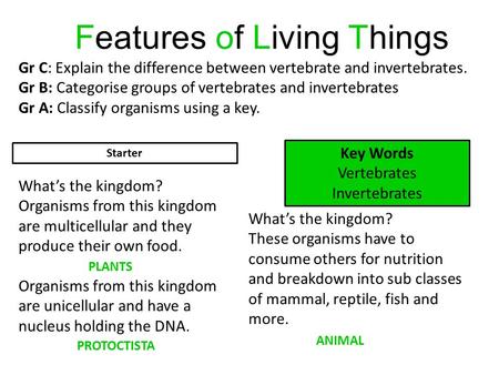 Features of Living Things