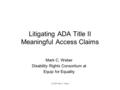 Litigating ADA Title II Meaningful Access Claims Mark C. Weber Disability Rights Consortium at Equip for Equality (c) 2016 Mark C. Weber.