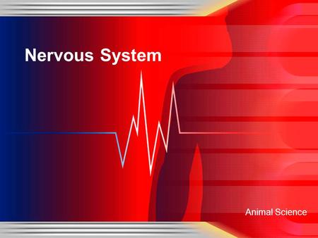 Animal Science Nervous System. Co-Ordination Adjustments of an animal’s response to changes in the environment Require complex linking of various systems.