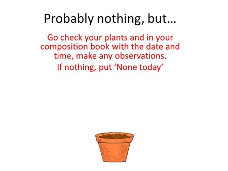 Probably nothing, but… Go check your plants and in your composition book with the date and time, make any observations. If nothing, put ‘None today’