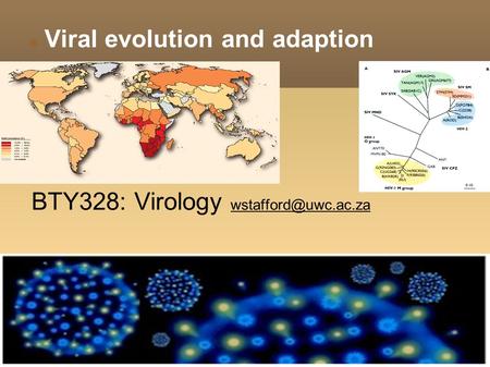 Viral evolution and adaption