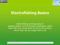 Electrofishing Basics Electrofishing is the process of passing electric current through freshwater, which stuns fish and causes them to rise to the surface.