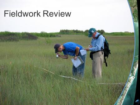 Remote Sensing Basics | August, 6 2007 Fieldwork Review.