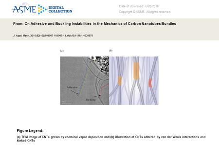 Date of download: 6/28/2016 Copyright © ASME. All rights reserved. From: On Adhesive and Buckling Instabilities in the Mechanics of Carbon Nanotubes Bundles.