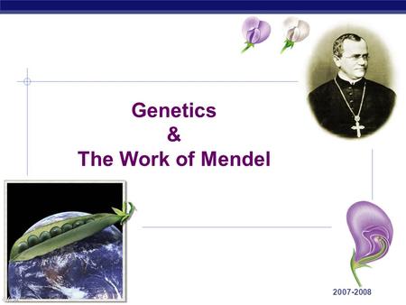 Regents Biology 2007-2008 Genetics & The Work of Mendel.