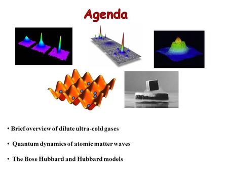 Agenda Brief overview of dilute ultra-cold gases