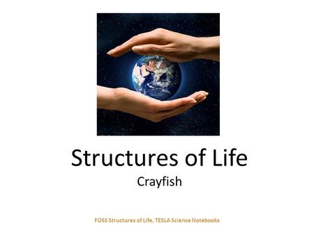 Structures of Life Crayfish FOSS Structures of Life, TESLA Science Notebooks.