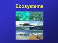 Ecosystems. 1. An ecosystem is all the living and nonliving things that interact in an environment.