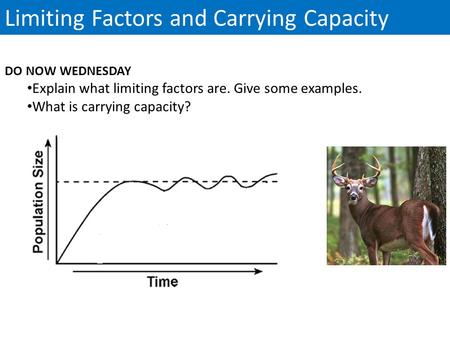 Limiting Factors and Carrying Capacity DO NOW WEDNESDAY Explain what limiting factors are. Give some examples. What is carrying capacity?