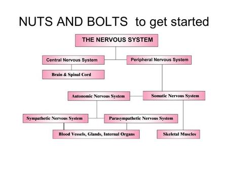 NUTS AND BOLTS to get started. Planes of orientation.