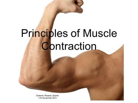 Principles of Muscle Contraction Graeme, Rosana, Sophie 11th November 2014.