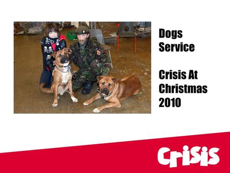 Dogs Service Crisis At Christmas 2010. Dogs Service Organiser: Lisa MacDougall CC Dogs Service.