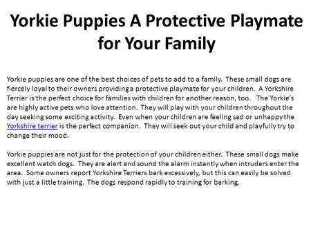 Yorkie Puppies A Protective Playmate for Your Family Yorkie puppies are one of the best choices of pets to add to a family. These small dogs are fiercely.