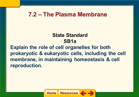 7.2 – The Plasma Membrane State Standard SB1a Explain the role of cell organelles for both prokaryotic & eukaryotic cells, including the cell membrane,