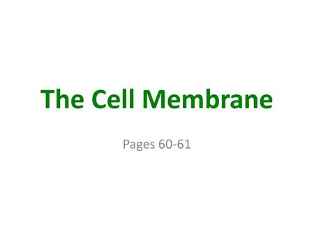 The Cell Membrane Pages 60-61. The Cell Membrane.