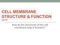 CELL MEMBRANE STRUCTURE & FUNCTION page 206 How do the structures of the cell membrane help it function?