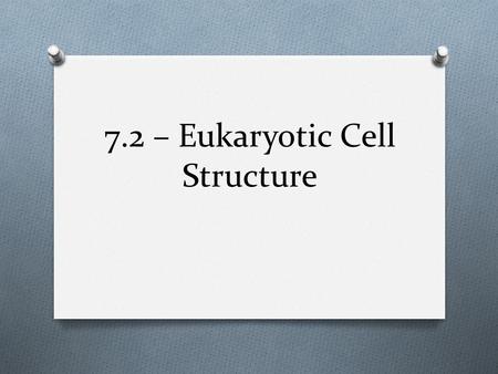 7.2 – Eukaryotic Cell Structure. Cell Boundary (Animal & Plant) O Cell Membrane O Function: O Controls what enters or exits the cell O Semipermeable –