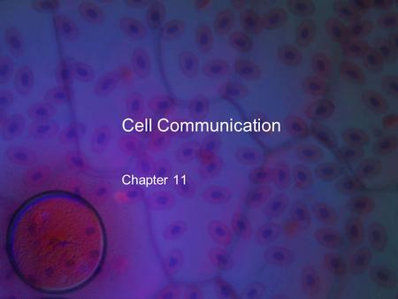 Cell Communication Chapter 11.